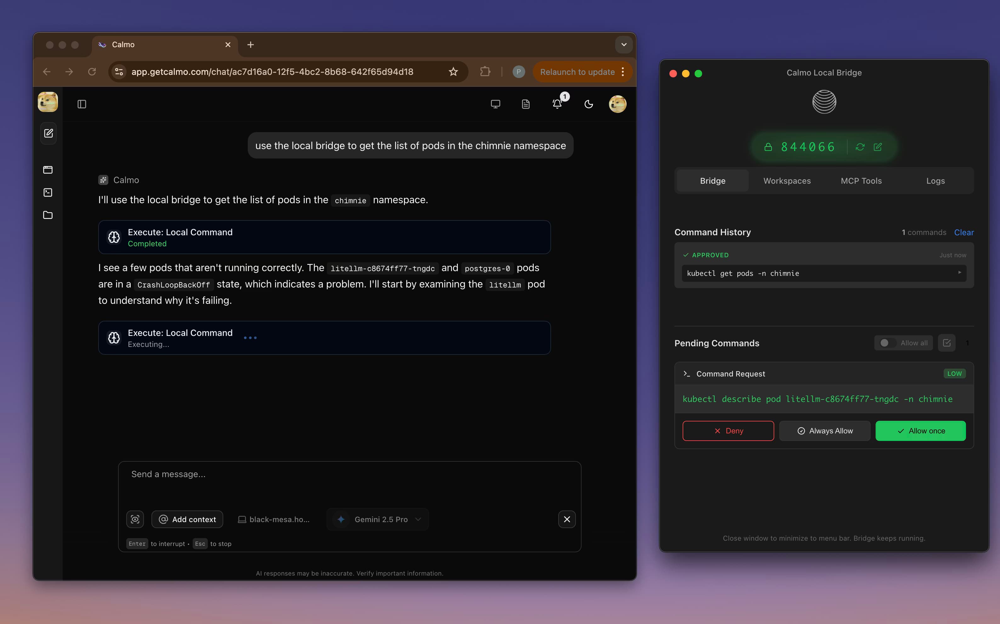 Calmo Local Bridge overview