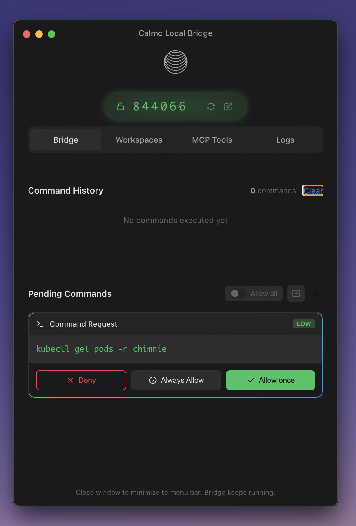 Command approval flow with risk labels
